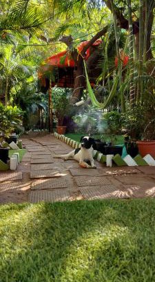 Arambol Complejo | Nature of Arambol