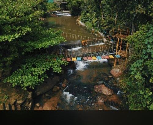 Vastare Casa | Nature Stay - Private Water Stream and a Pool