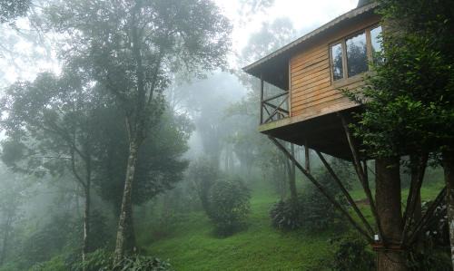 Munnar Complejo | Nature Zone Jungle Resort