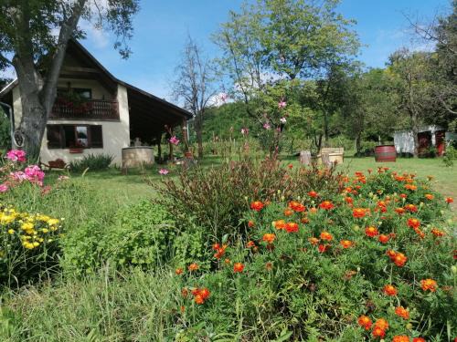Varvolgy Apartamento | NATURKERT Vendégház