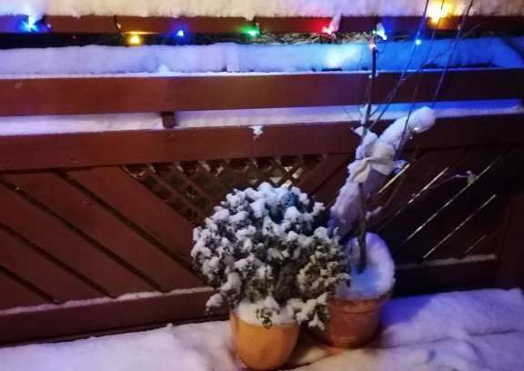 Lilienfeld Apartamento | Naturparadies