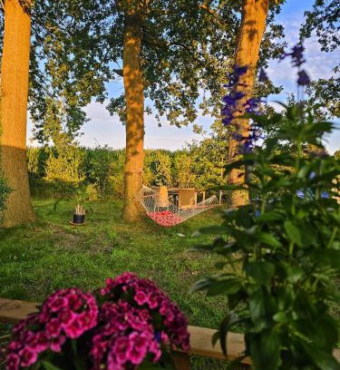 Anloo Chalet De Esquí | natuur huisje