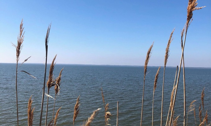 Greenbush Cabaña | Near Chincoteague & Assateague Island Charming 2-bedroom cottage