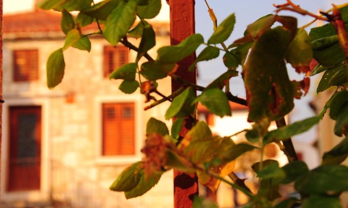 Altipiano Ovest Apartamento | Nebojsega b&b