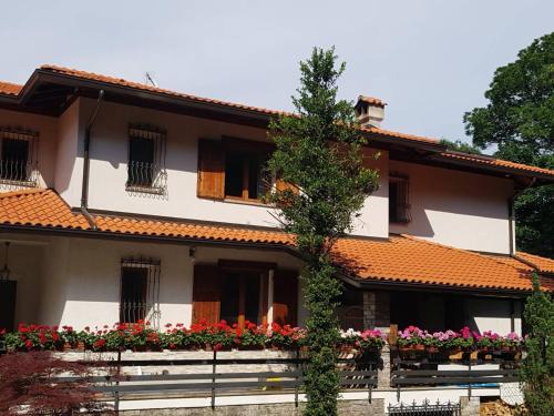 Stresa Casa | Nel giardino di Dafne