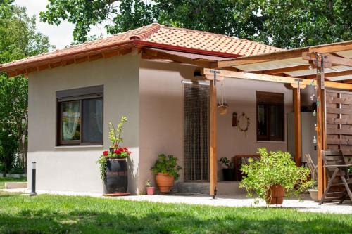 Sikia Casa | Nerium - Golden Fig Sykia lodge