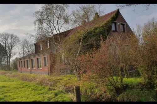 Jaderaltendeich Apartamento | NEU! FeWo Deichblick OG am Jadebusen/Nordseeküste