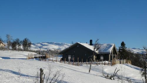 Etnedal Casa | NEUE Fjellhytte