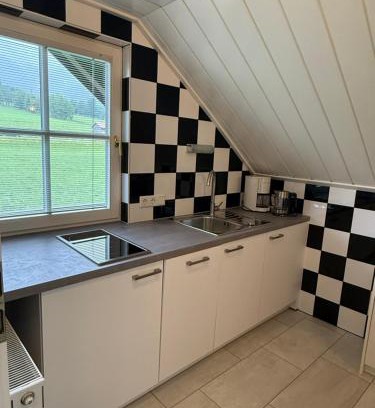 Ramsau am Dachstein Apartamento | Neues Boutique Studio - Apartment mit Bergblick und Balkon in Ramsau - Sommercard inklusive