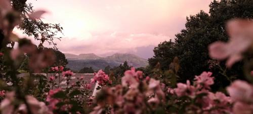 Hogsback Casa | Never Daunted
