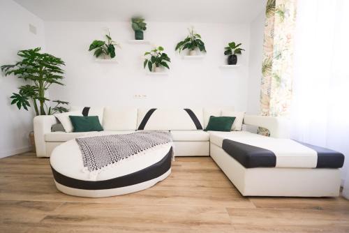 Benicarlo Apartamento | New Big City Center Apartment 4th floor no elevator