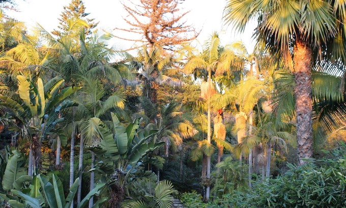 Diamond Crestview Casa | NEW!! Canyon Retreat w/View. Walk to Beach and Town