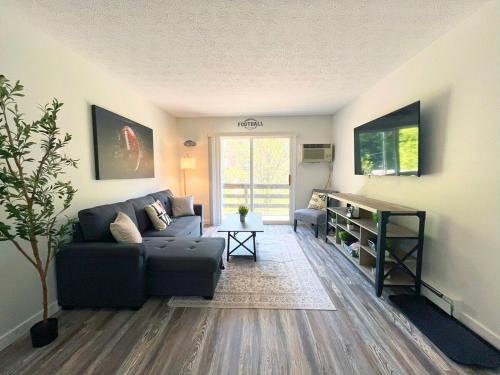 Canton Apartamento | New Hof Apt! -balcony - Pet Friendly - Sleeps 4
