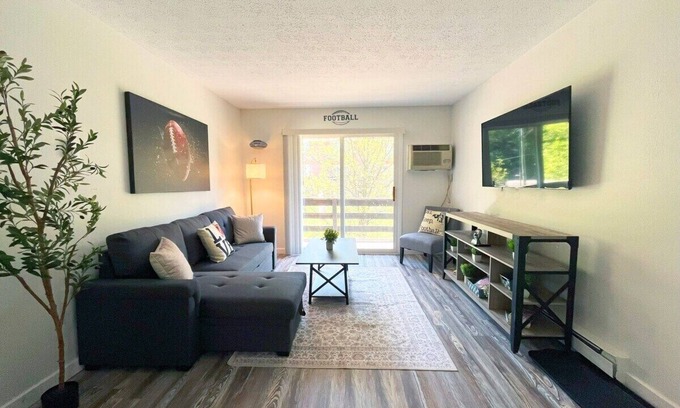Canton Apartamento | *New Hof Apt!* - Balcony - Pet Friendly - Sleeps 4