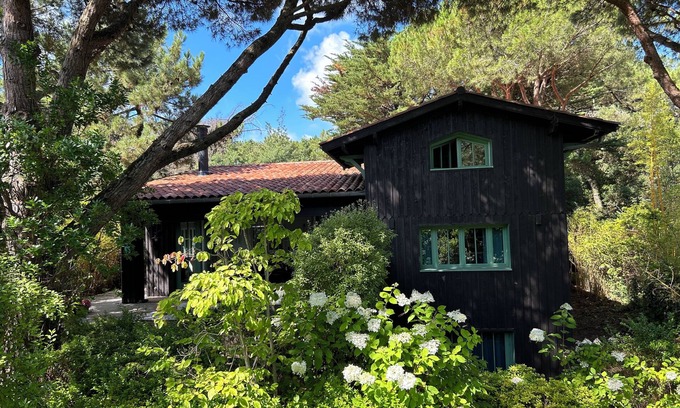 Cap-Ferret Villa | Cabin style house near Pointe Cap Ferret