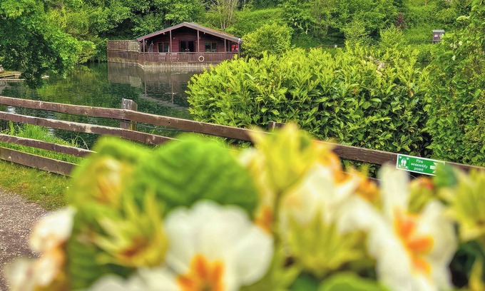 Caerwys Cabaña | Alojamiento de 1 habitaciones en Caerwys, Flintshire