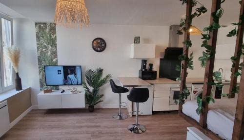 Pont-a-Mousson Apartamento | New jungle studio cœur de ville