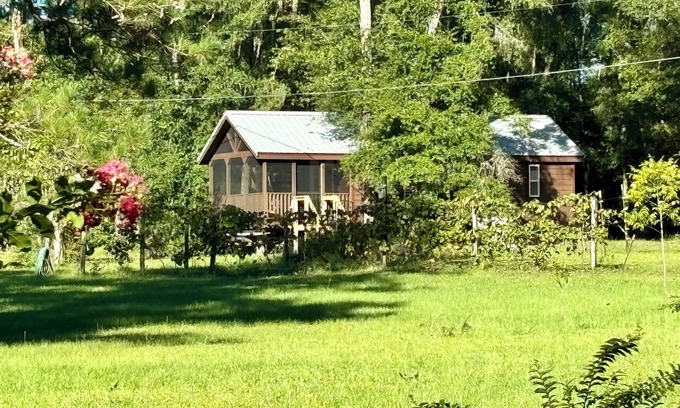 Tallahassee Cabina | New Lakeside Cabin in Tallahassee, secluded & near town