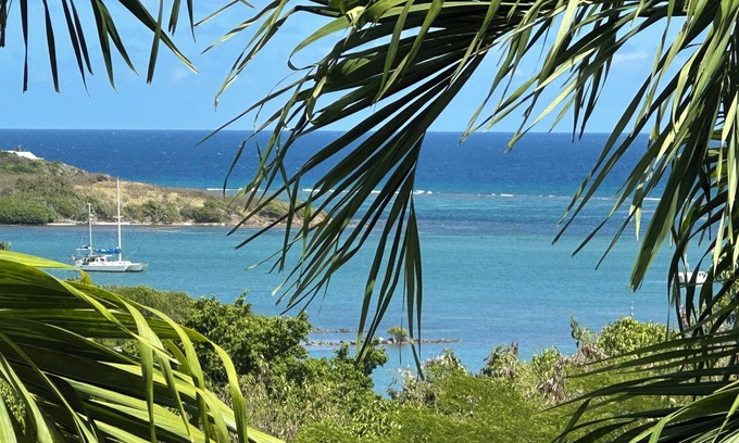 La Grande Princesse Villa | 20% OFF NEW LISTING SPECIAL! Large 4/4 Villa on St. Croix USVI with pool & view