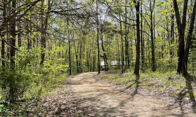 Seligman Casa | Secluded Ozark Home at Roaring River Park Near Eureka Springs and Bentonville AR