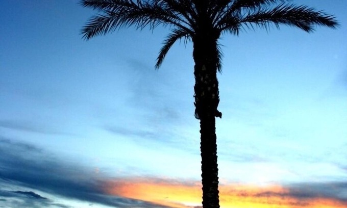 San Tan Valley Casa | NUEVA apertura AHORA! 3 piscinas climatizadas Spa's GOLF Palms Mtns & Sunsets ... ¡Bienvenido!