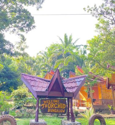 Sumatra Apartamento | New orchid