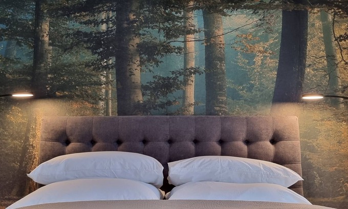 Borkheide Condominio | NEW Stylish vacation apartment *time out*2-6 pers. at the edge of the forest near Potsdam/Berlin