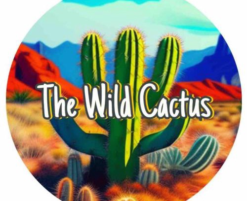 Lubbock Casa | NEW*The Wild Cactus- Best of LBK w/TennisCourts