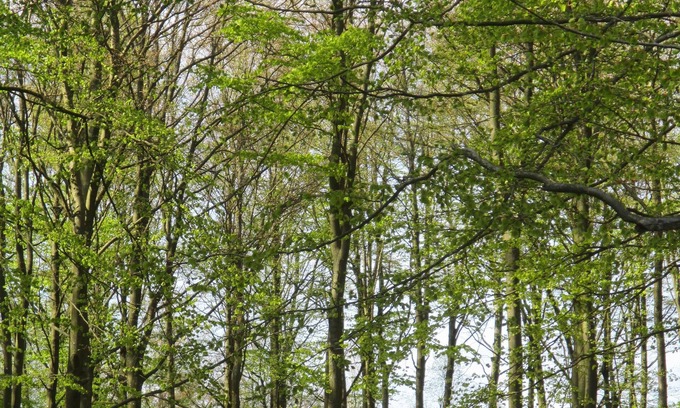 Munka-Ljungby Cabaña | Recién renovado y acogedora casa de campo para toda la familia en medio de la naturaleza