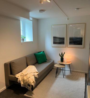 Oslo Apartamento | Newly renovated apartment close to city center