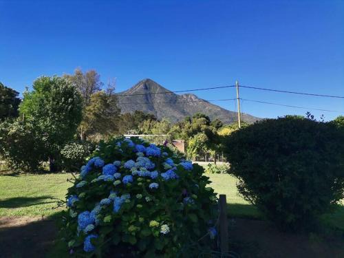 Storms River Casa | Next to Heaven Guesthouse