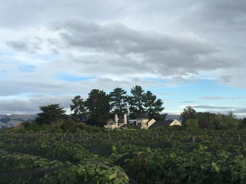 Gladstone Cama Y Desayuno | Nga Pari Vineyard