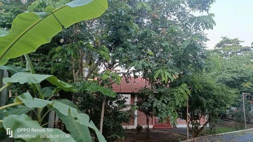 Cu Chi Apartamento | Nguyên căn Homestay Mẹ Khang 2