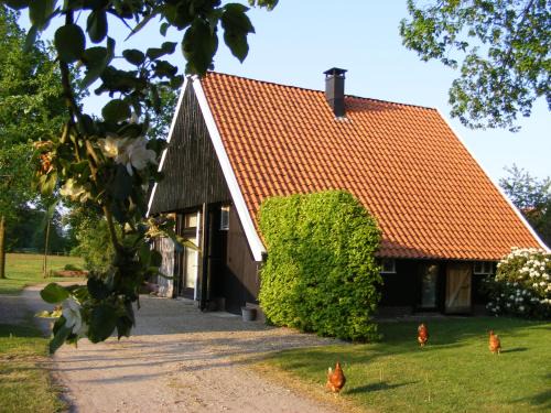 Municipality of Winterswijk Casa | "Ni-jland"