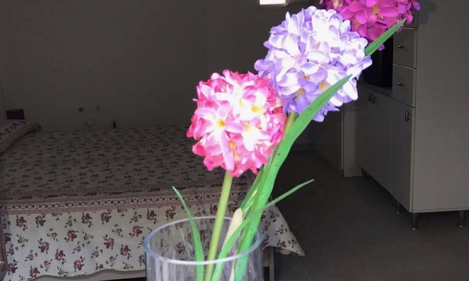 San Nicola Arcella Casa | Bonito apartamento San Nicola Arcella