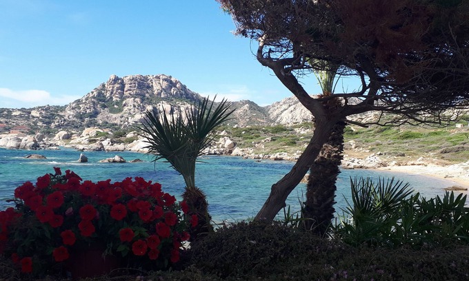 La Maddalena Apartamento | Bonito apartamento a pocos pasos de Punta Tegge