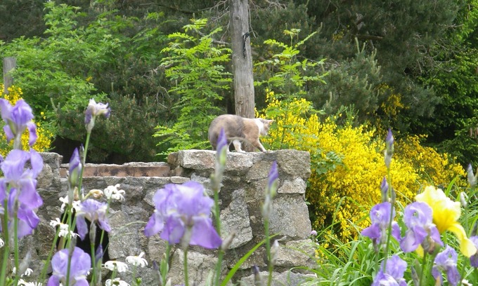 Montregard Casa | Nice holiday home in the south-east of the Auvergne