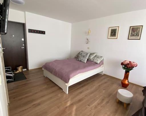 Kaunas Apartamento | Nice place to stay close to city