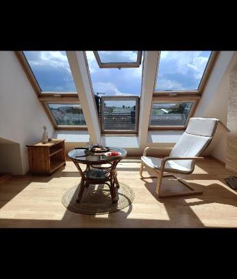 Liesing Casa | Nice Room in a Sunny appartement