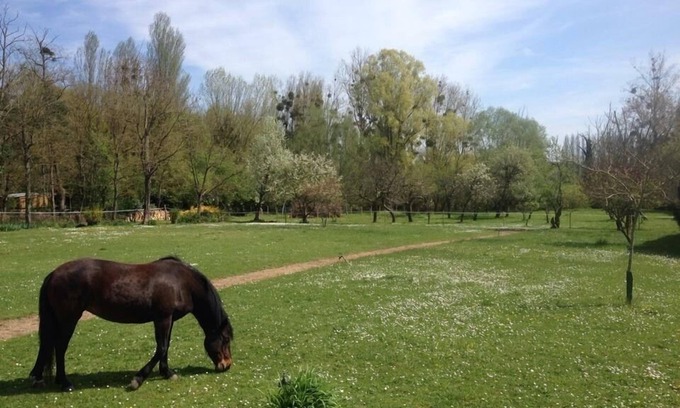 Montigny-sur-Loing Apartamento | Bonito estudio al borde del agua.