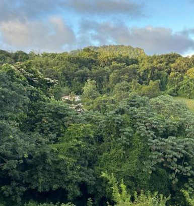Riviere-Pilote Apartamento | Niché dans la verdure