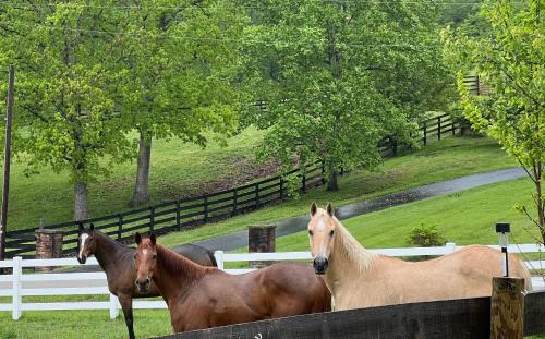 Berea Casa | Nicura Ranch Inn & Stables