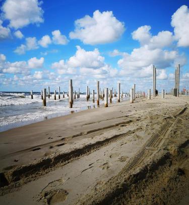 Petten Cama Y Desayuno | Nieuw Strand