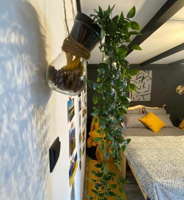 Hunedoara Apartamento | Night Lotus