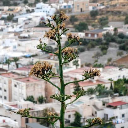 Nijar Apartamento | Nijar bella y su Parque Natural Cabo de Gata