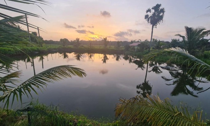 Palakkad Otro | Nila Organica Farm Stay