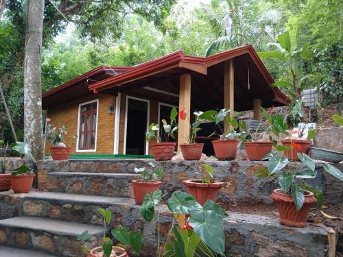 Ella Cabina | Nildiya mango villa