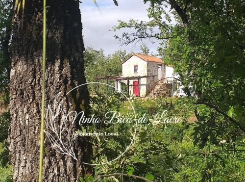 Covas Casa | Ninho Bico-de-Lacre ~ o paraíso é a/na Terra
