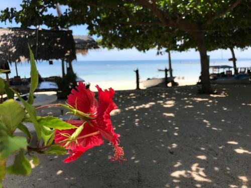Haad Yao Complejo | No Name Bungalow Haad Yao