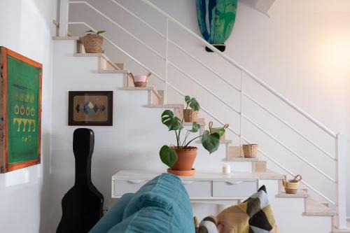 Ferrel Cama Y Desayuno | Nomad Ready